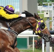 One More Minute<br>Photo by Singapore Turf Club